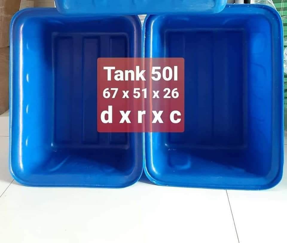 Chọn loại cá nuôi
